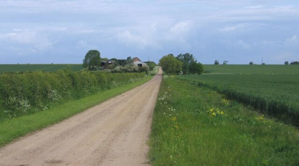 Tipplers' Road, Swavesey, Cambs. view towards Thorpes Farm.
