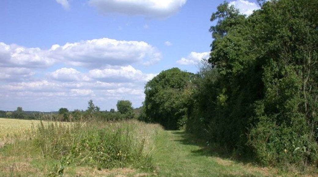 Bridleway to Bourn, continued In the process of getting its direction sorted out