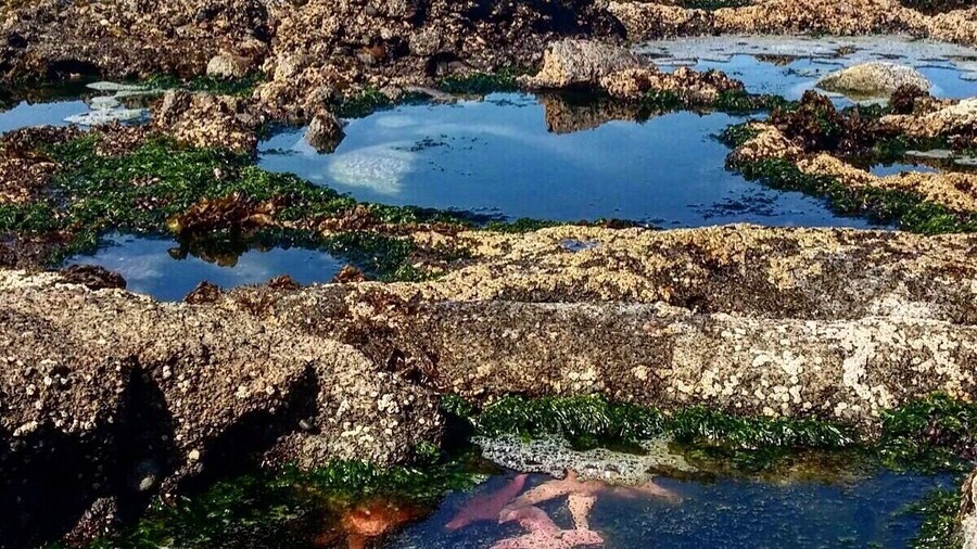 Puentecillo #Bestof5