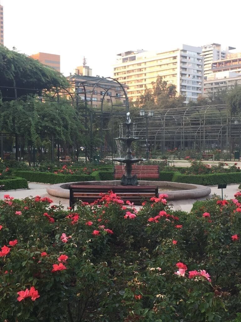 El rosedal