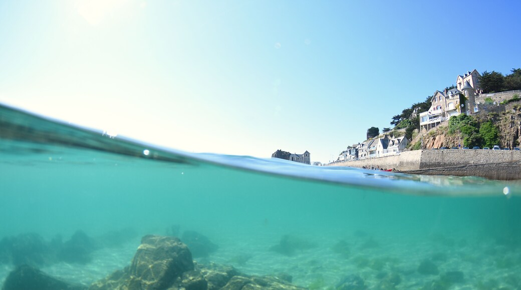 beach and port of pleneuf val andre, Shutterstock ID 1132560122, Purchase Order: -