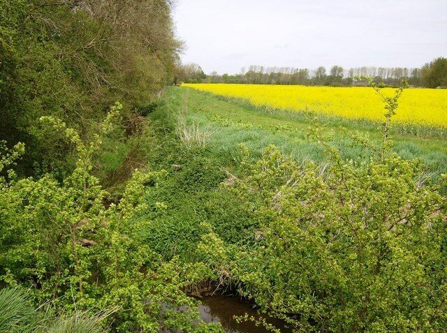 More rape across the stream This stream flows southwards to join the River Brampton and then the River Nene. Extensive arable land around here mainly used for a rape crop this year.