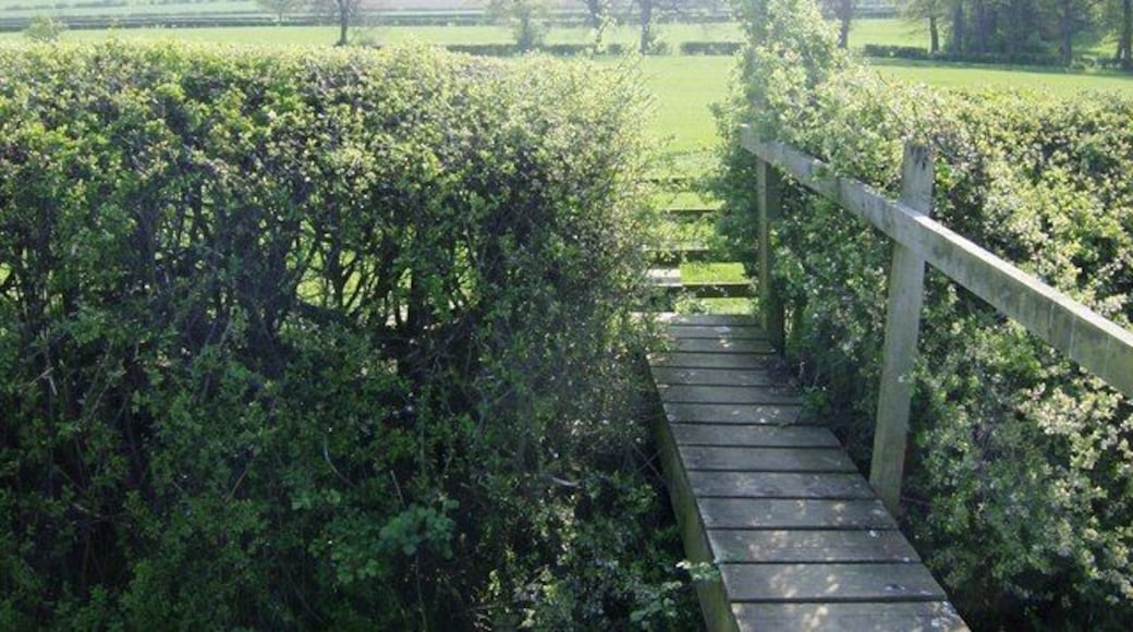 Stile and footbridge The Macmillan Way long distance path (Lincolnshire to Dorset) crosses this footbridge over a stream then a stile and turns left to follow the hedge line up towards Little Brington.