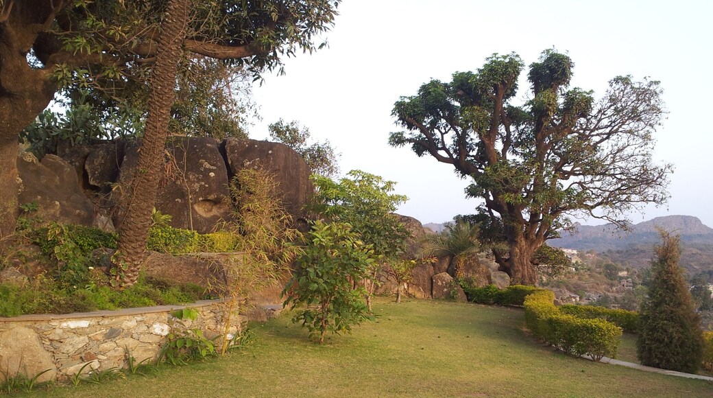 Hard landscape garden