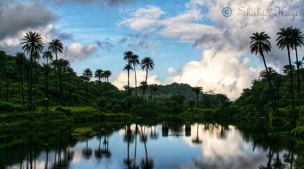 Travel Diaries: Mount Abu
There are quite a few hidden treasures in Mount Abu to explore if you can let go of the traditional hotspots. Trick is to find a trustworthy guide/local who has been around to take you places that normal tourists don't know.
#photooftheday #photography #mountabu #traveldiaries #shahidscorner