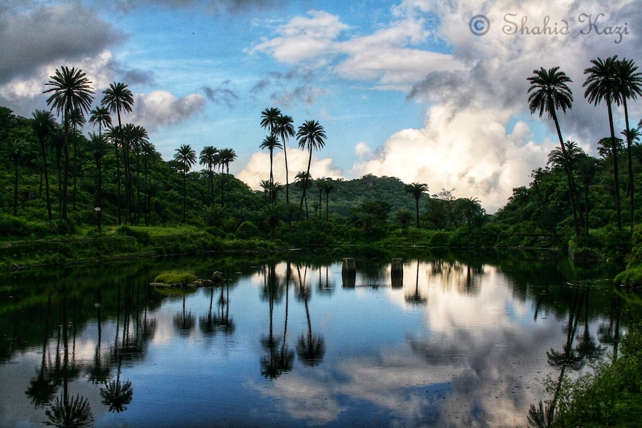 Travel Diaries: Mount Abu
There are quite a few hidden treasures in Mount Abu to explore if you can let go of the traditional hotspots. Trick is to find a trustworthy guide/local who has been around to take you places that normal tourists don't know.
#photooftheday #photography #mountabu #traveldiaries #shahidscorner