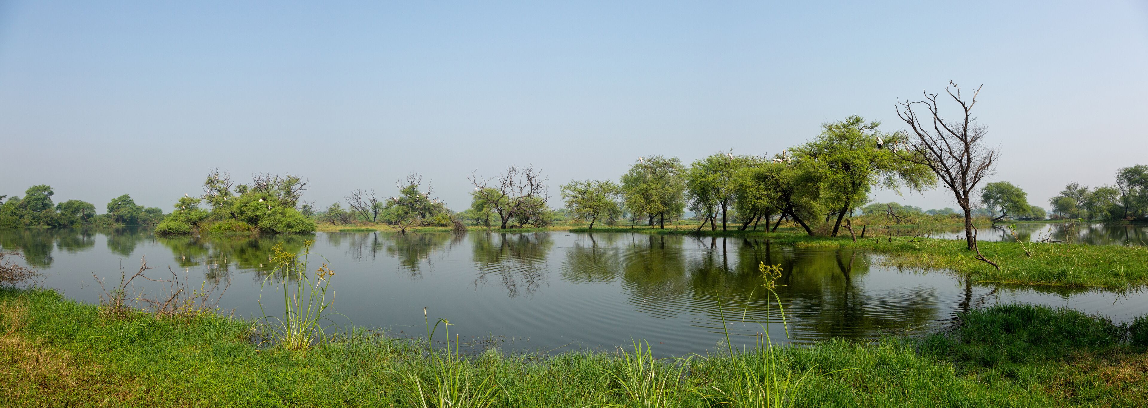 A calm lake surrounded by lush greenery and trees.
