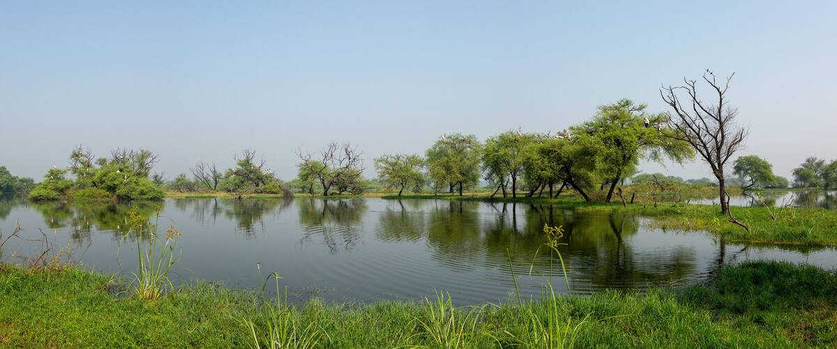 A calm lake surrounded by lush greenery and trees.