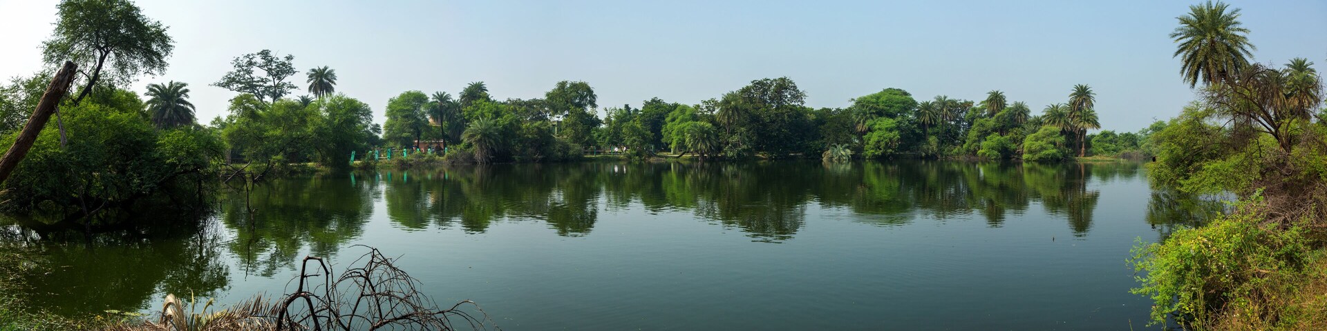 Un lago tranquilo rodeado de exuberante vegetación y palmeras.