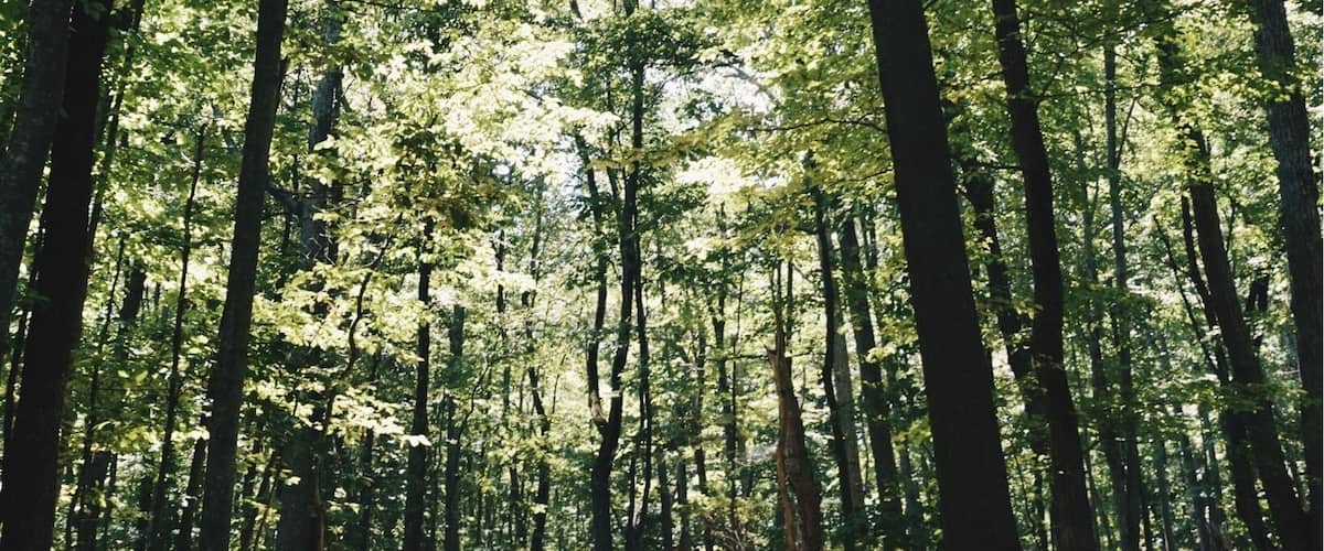 Hikes through the mountains of Virginia