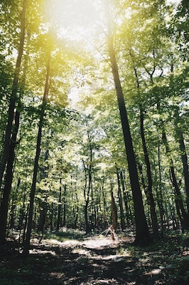 Hikes through the mountains of Virginia