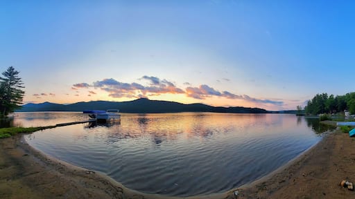 Aerial view of lake surrounded by dense trees during sunset