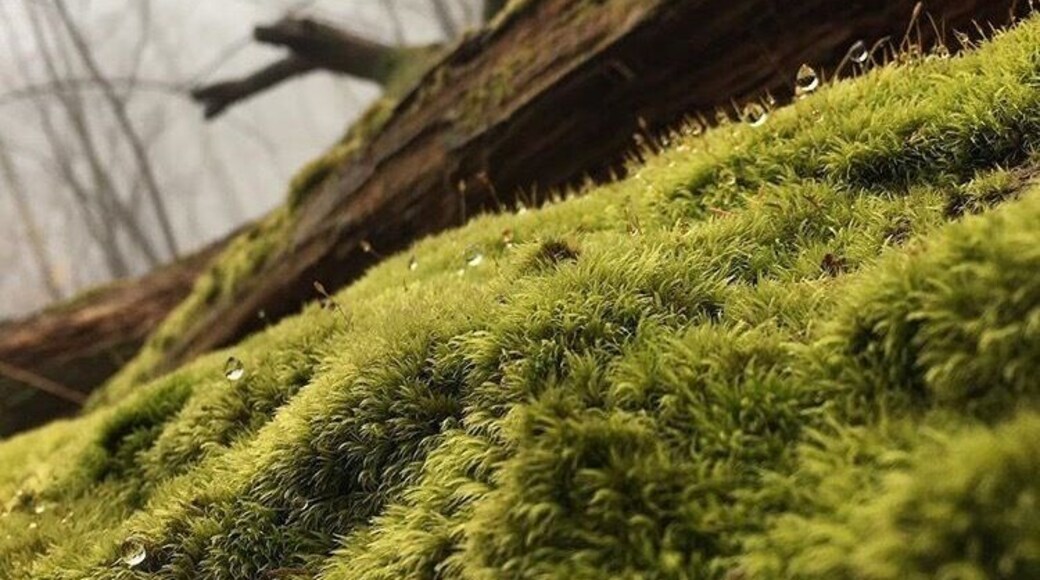 sometimes the greatest adventures are in your own backyard