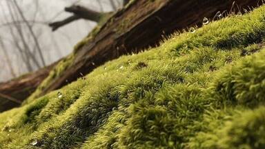 sometimes the greatest adventures are in your own backyard