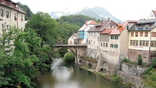 I think I got this one right. It was a cute little village along our travels in Slovenia. #Slovenia #village