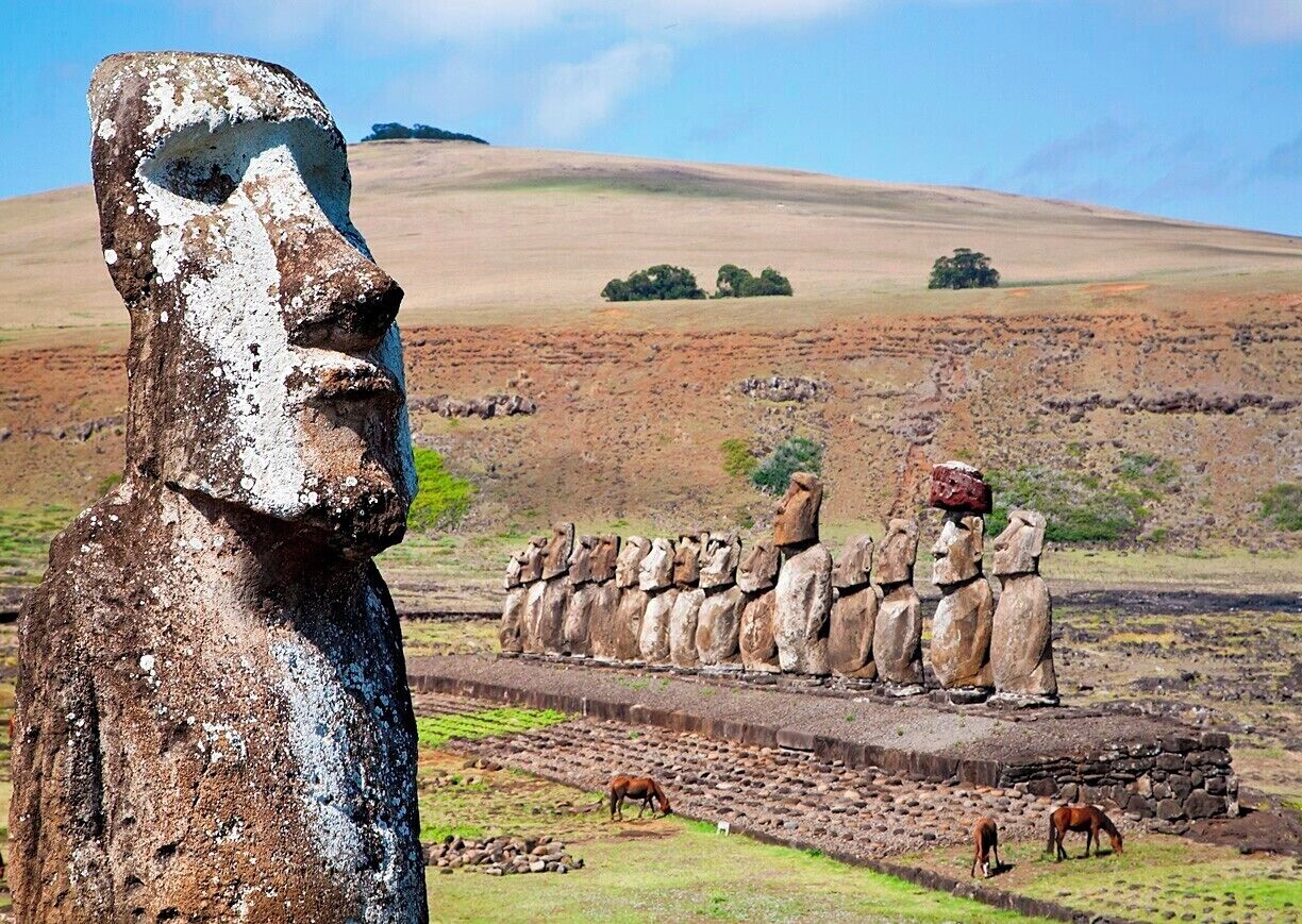 Ahu Tongariki was the capital of the Hotu Iti, the eastern confederation of the Rapanui. They built the largest ahu on the island and erected 15 moai on it.  The moai were toppled during the island's civil wars and swept inland by a tsunami in 1960.  The ahu was reconstructed and the moai re-erected by archaeologists in the 1990s.