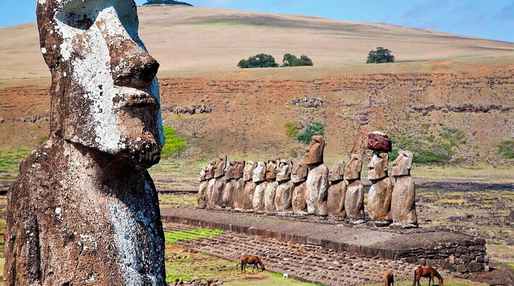 Ahu Tongariki was the capital of the Hotu Iti, the eastern confederation of the Rapanui. They built the largest ahu on the island and erected 15 moai on it. The moai were toppled during the island's civil wars and swept inland by a tsunami in 1960. The ahu was reconstructed and the moai re-erected by archaeologists in the 1990s.