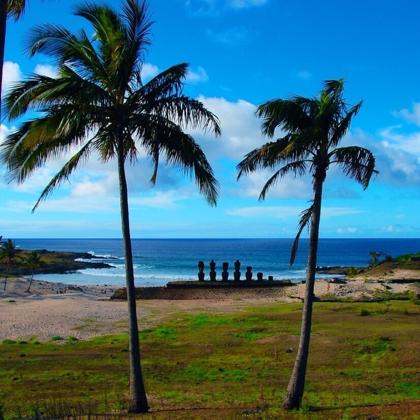 Una playa con palmeras y una estructura de piedra con relieves.