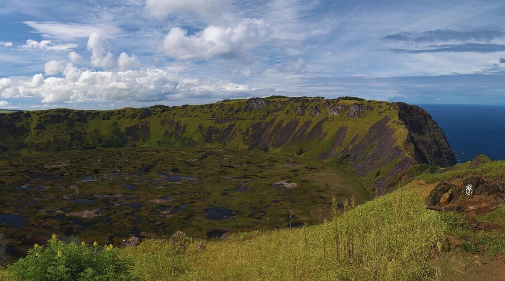 one hour trekking to Orongo volcano and the petroglyphs. Really nice to see. Just take water with you, I forgot my water but fortunately I met a very nice rapa nui who gave me a glass of water.
Rapa nui #NationalPark
#hiking