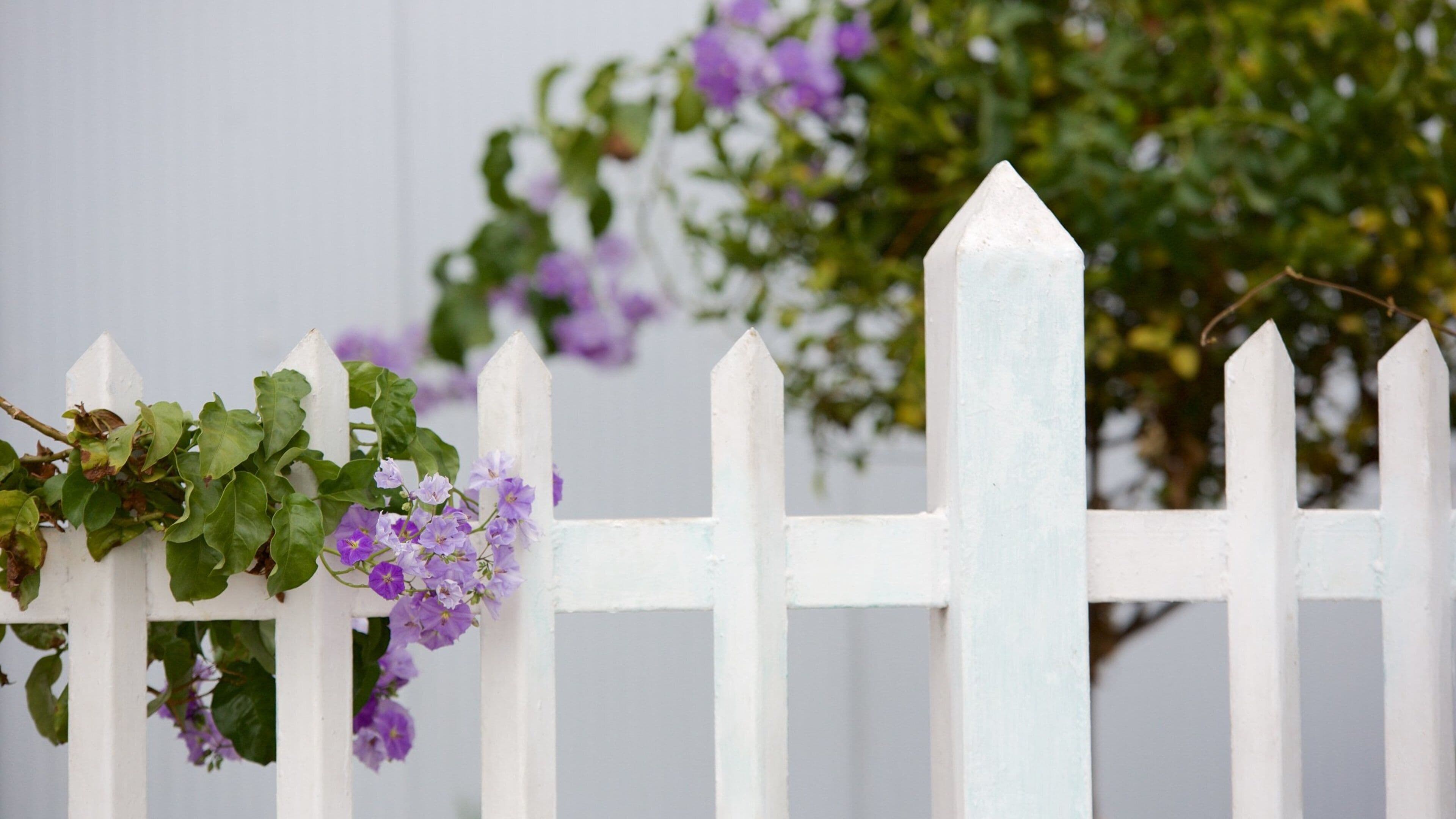 Valparaiso trong đó bao gồm hoa