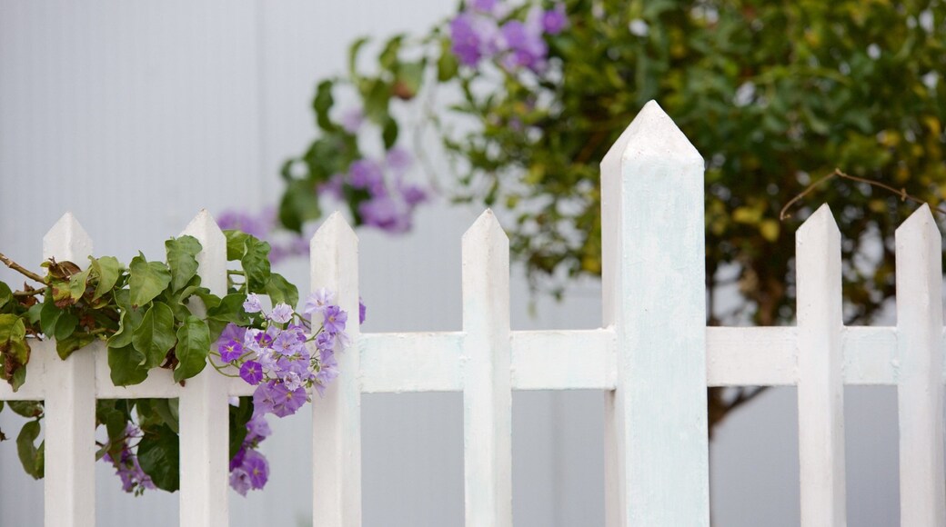 Valparaiso trong đó bao gồm hoa