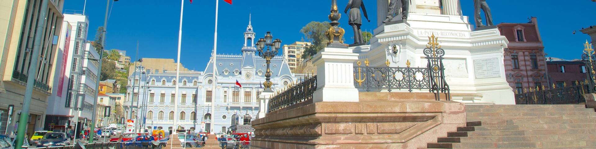 Vina del Mar showing a city and a statue or sculpture