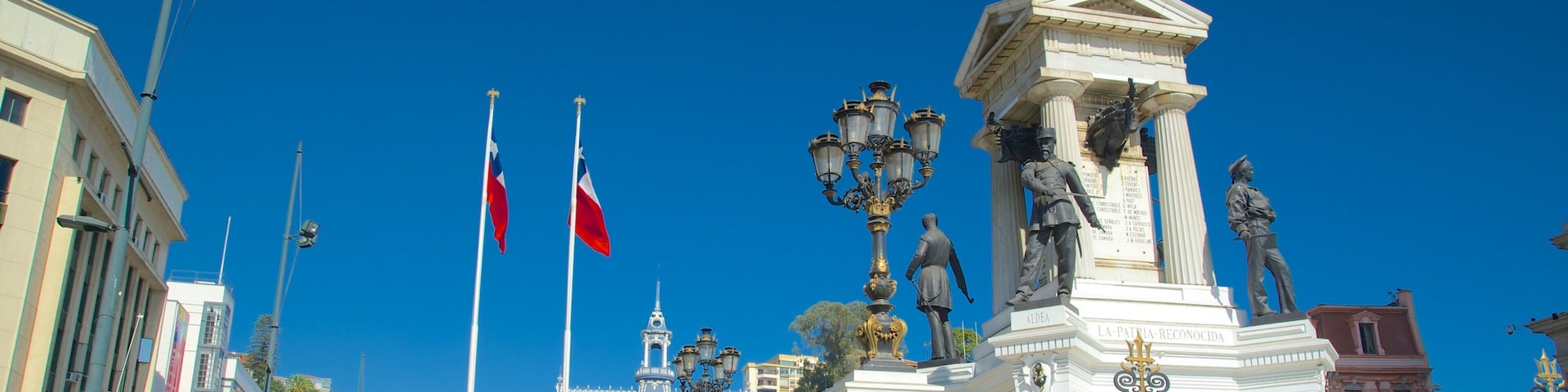Vina del Mar showing a city and a statue or sculpture