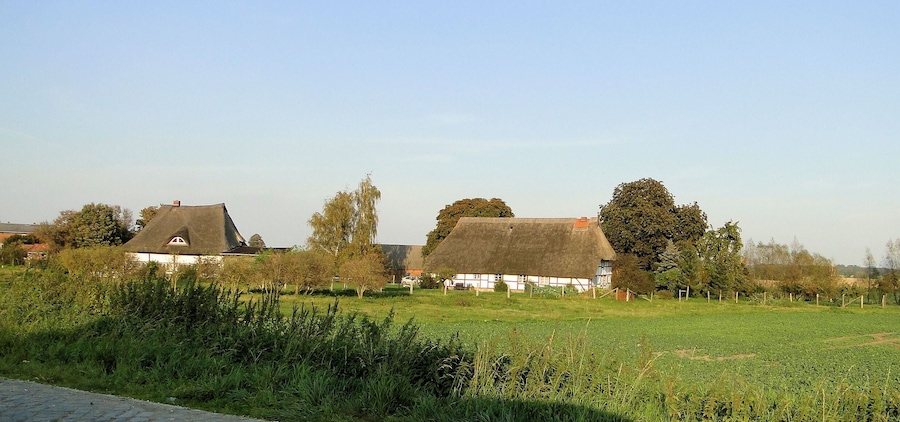 Paisaje rural con casas de techo de paja y un campo verde.