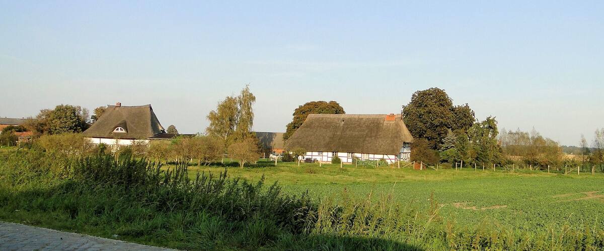 A rural landscape with thatched-roof houses and a green field.