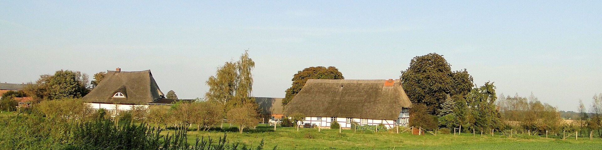 A rural landscape with thatched-roof houses and a green field.