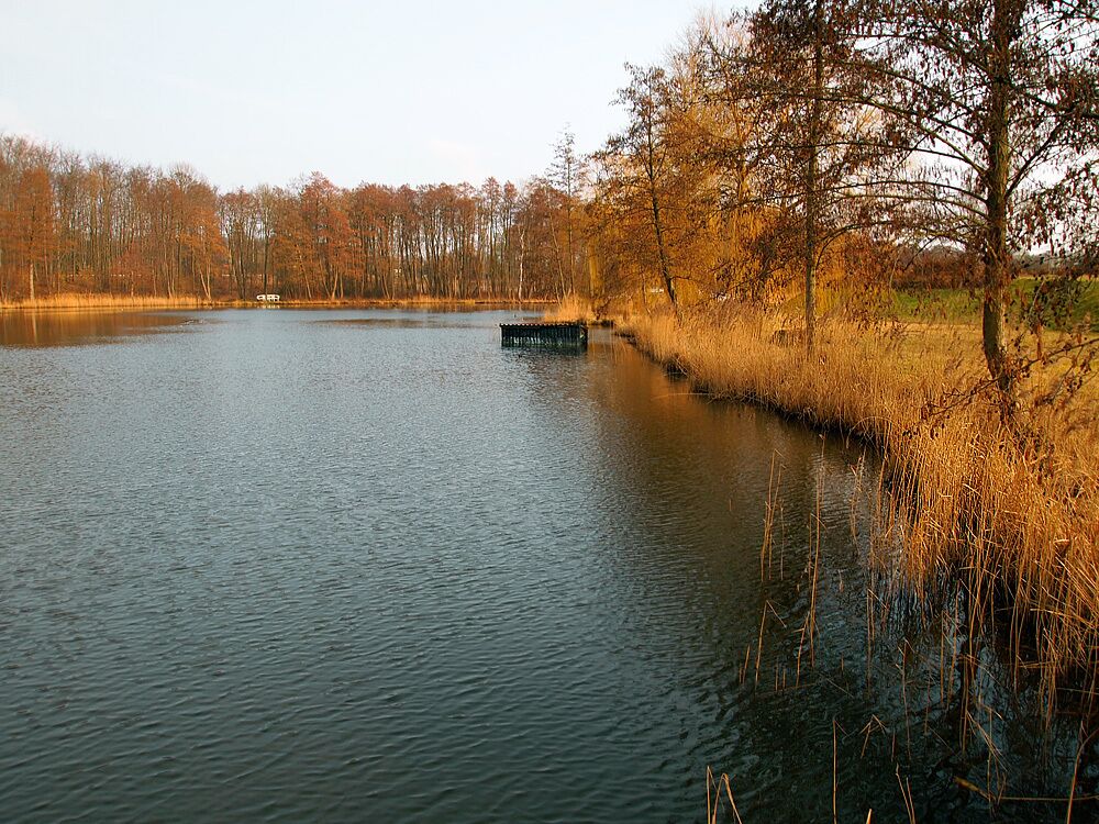 Gadebusch - Burgsee im März