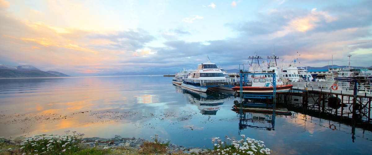 A marina with boats docked, calm water, and a sunset sky.