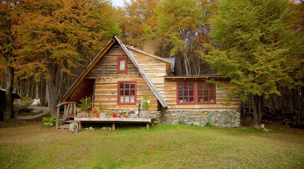 Valley of Wolves which includes a house and forest scenes