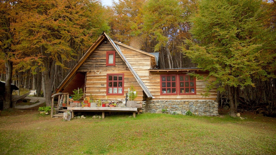 Valley of Wolves เนื้อเรื่องที่ บ้าน และ ทิวทัศน์ป่า