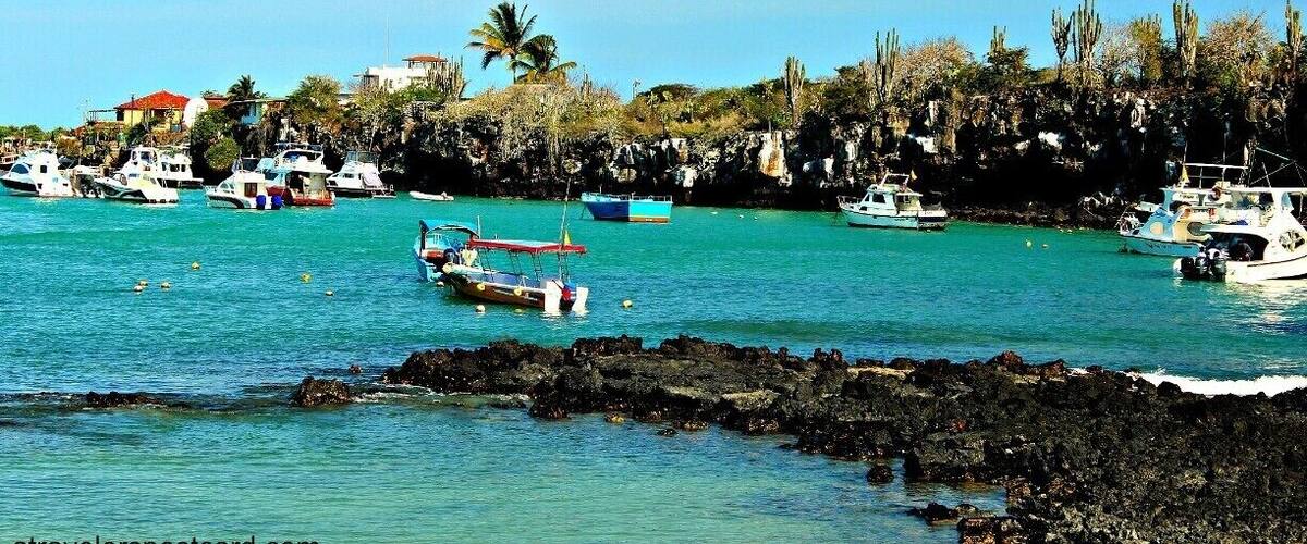 Harbor of Isla Santa Cruz. Where you will catch all your tour boats and speed boats to other islands