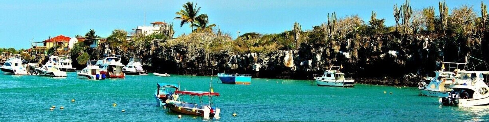 Harbor of Isla Santa Cruz. Where you will catch all your tour boats and speed boats to other islands