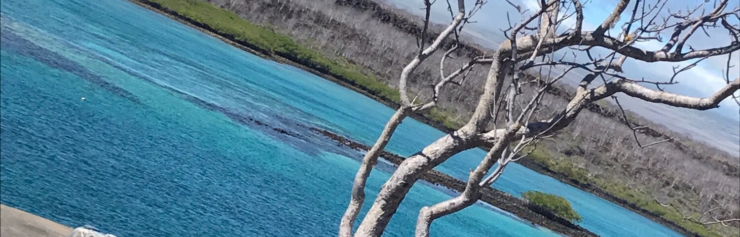 The stunning Santa Cruz Island in the Galápagos Islands #aquatrove