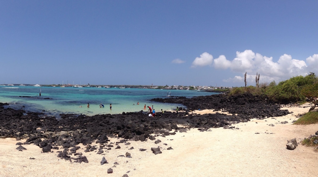 Panorama beach santa cruz