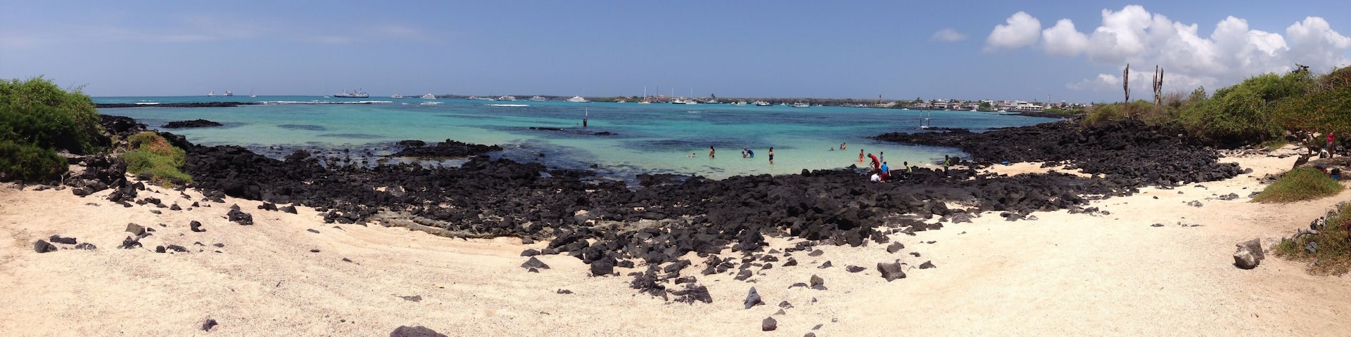 Panorama beach santa cruz