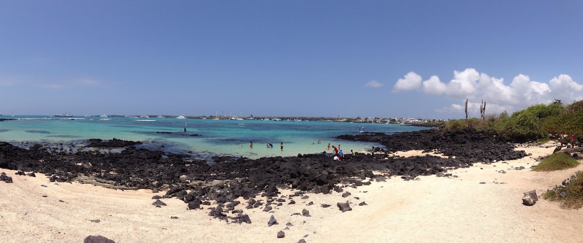 A beach with black volcanic rocks, clear turquoise water, and a distant shoreline with buildings.