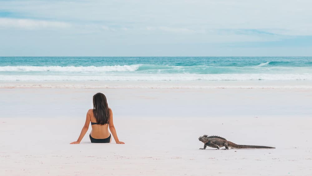 En kvinde sidder på en strand og ser ud over havet, tæt ved en havskildpadde.