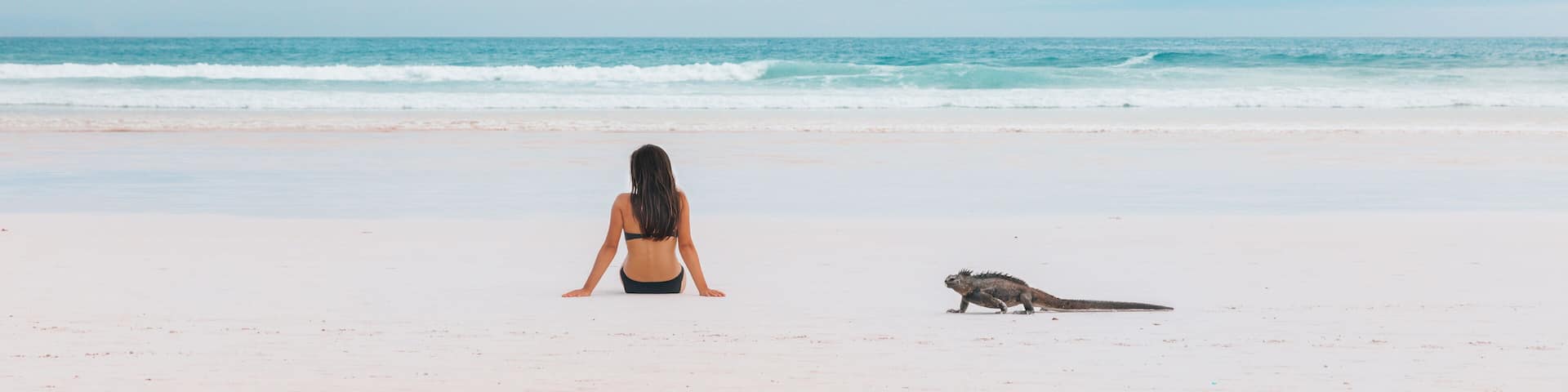A woman sitting on a beach facing the ocean with a sea turtle nearby.