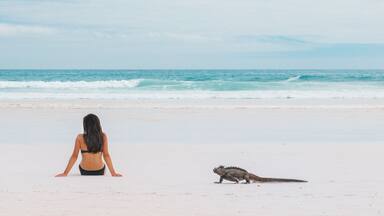 Una mujer sentada en la playa mirando al océano, con una tortuga marina cerca.
