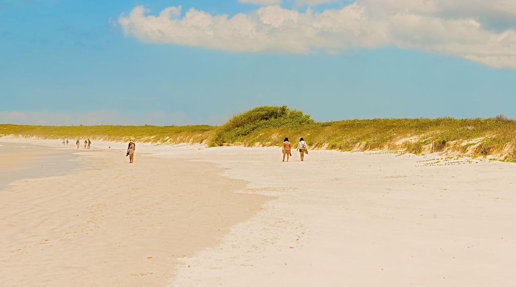 Tortuga Bay beach at Santa Cruz Island in Galapagos
