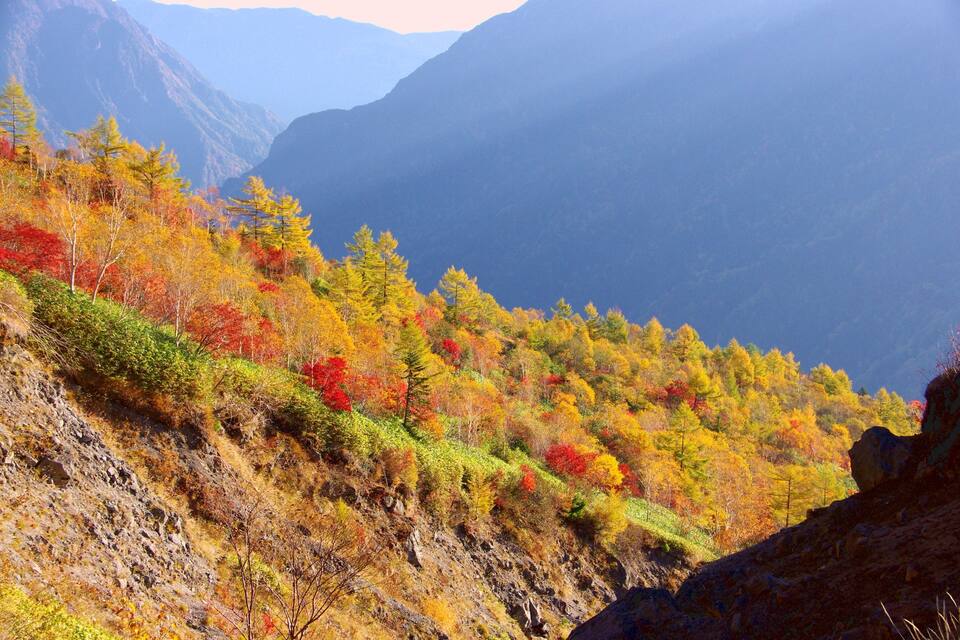 Paisagem montanhosa com árvores de cores outonais.