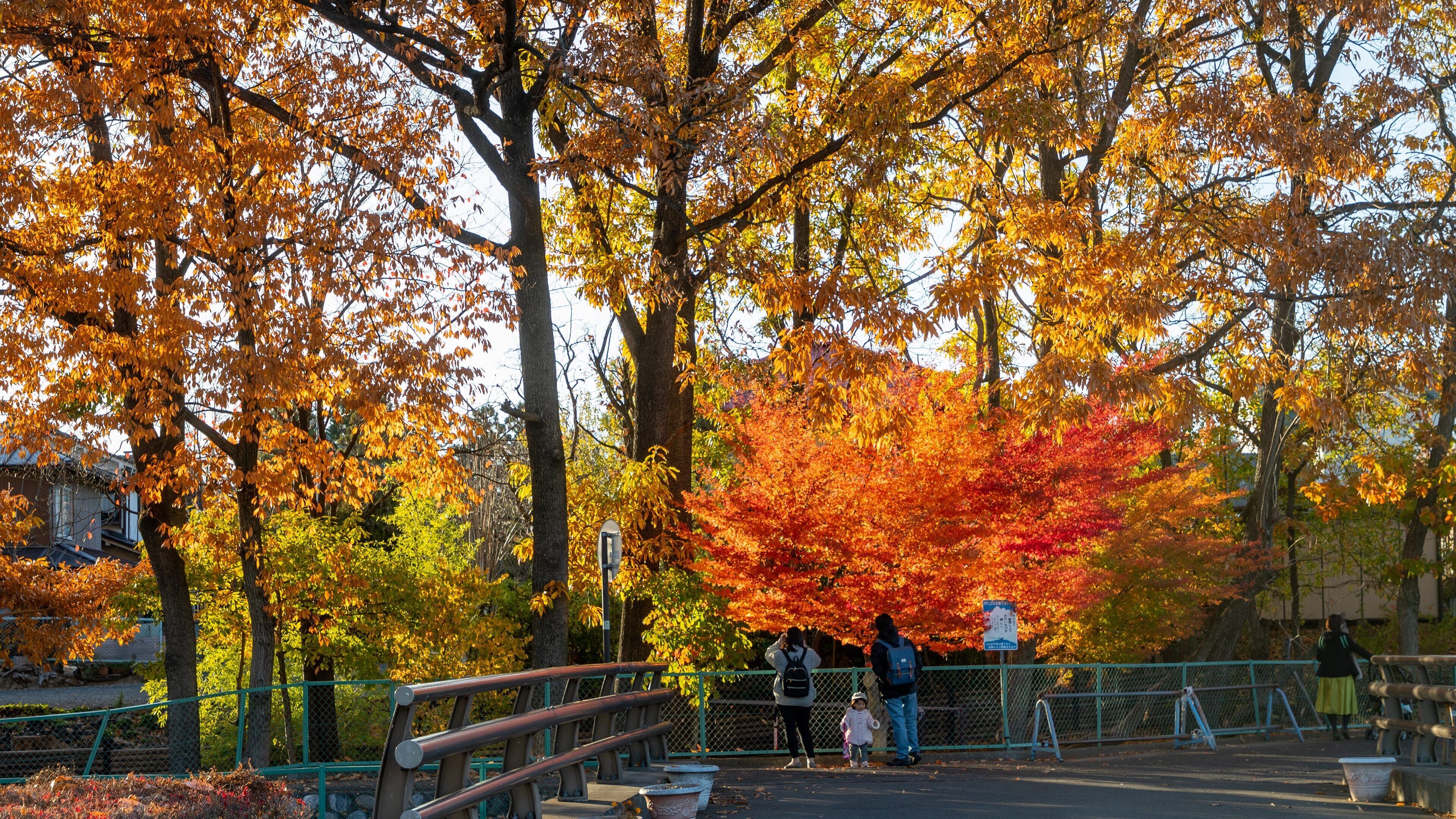 Things to Do in Matsumoto in 2026 | Expedia