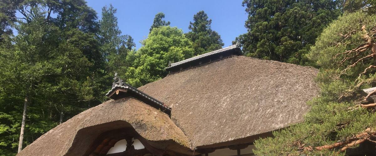 Early morning sunlight on the Jorakuji temple