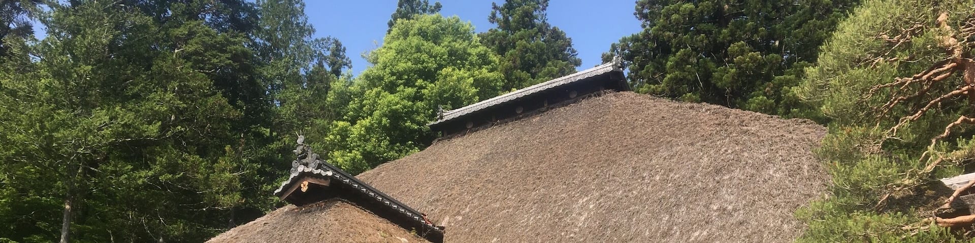 Early morning sunlight on the Jorakuji temple
