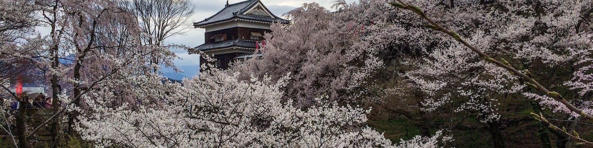 We stopped by Ueda Castle on the way home from seeing the snow monkeys. We lucked out and they were having a Cherry Blossom Festival that day. Perfect end to a perfect day!
#StunningStructures #CherryBlossoms #Japan #Ueda #Castle