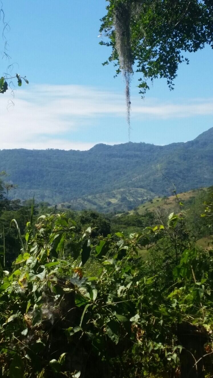 In Matagalpa, we helped rebuild a house for a family of nine using natural rock slabs from the surrounding mountains.